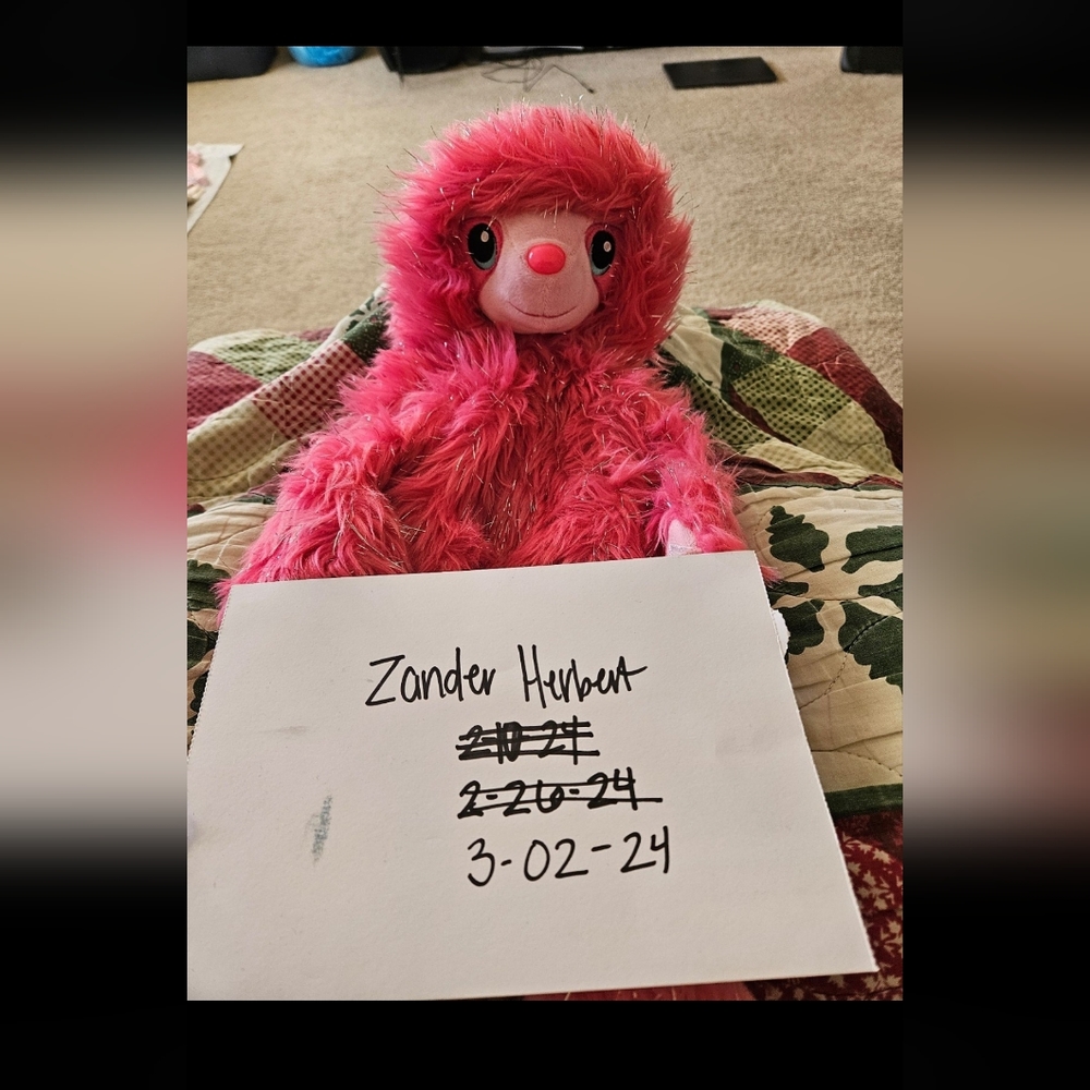 Pink Sloth Plush